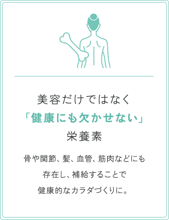 美容だけではなく「健康にも欠かせない」栄養素