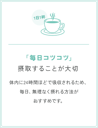 「毎日コツコツ」摂取することが大切