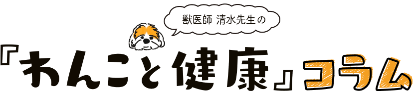 獣医師清水先生の「わんこと健康コラム」