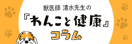 わんこと健康コラム