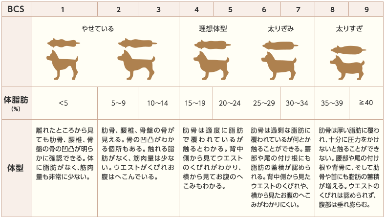 chart.png