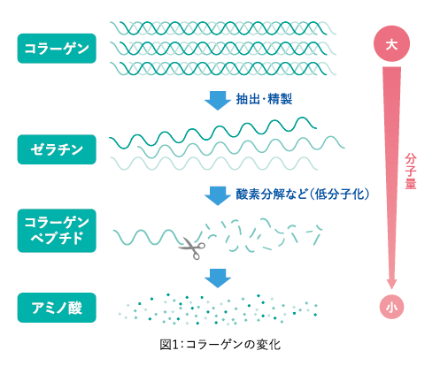 図解画像