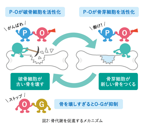 図解画像