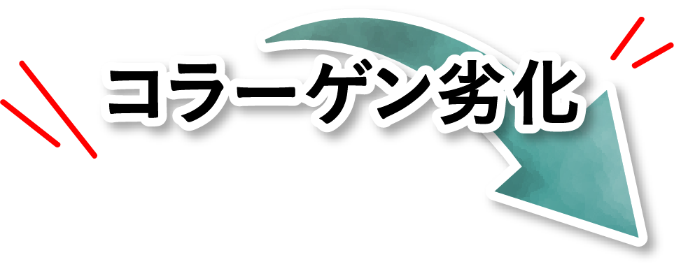 コラーゲン劣化